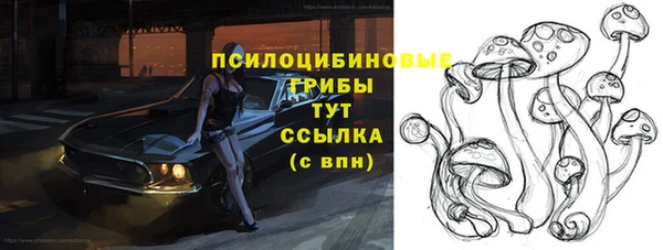мескалин Богородицк