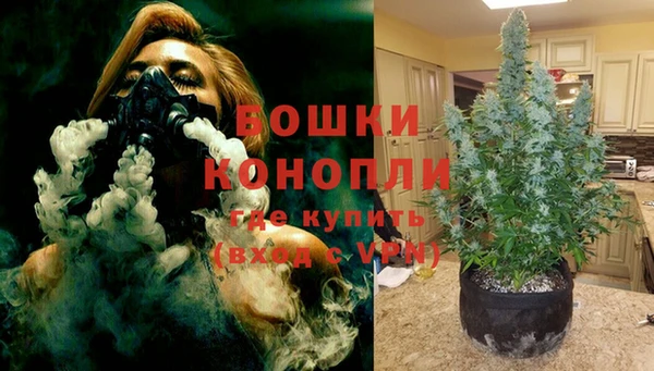 прущие грибы Богородск
