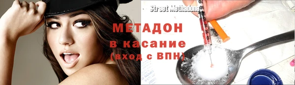 прущие грибы Богородск