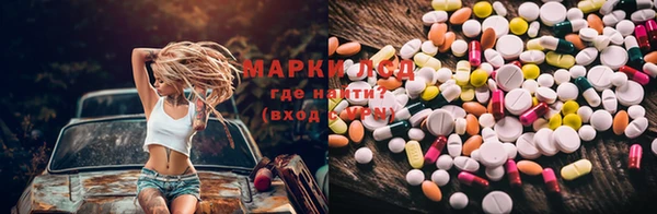 прущие грибы Богородск