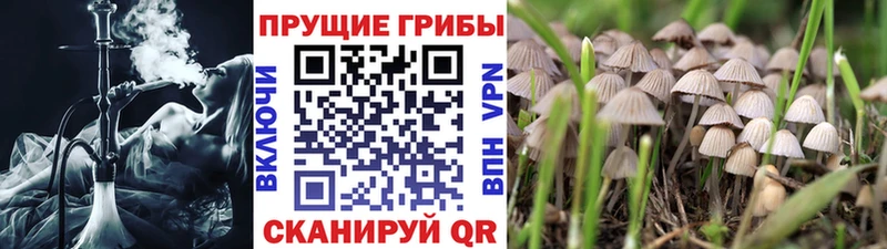 Купить где  Олёкминск  Галлюциногенные грибы ЛСД 